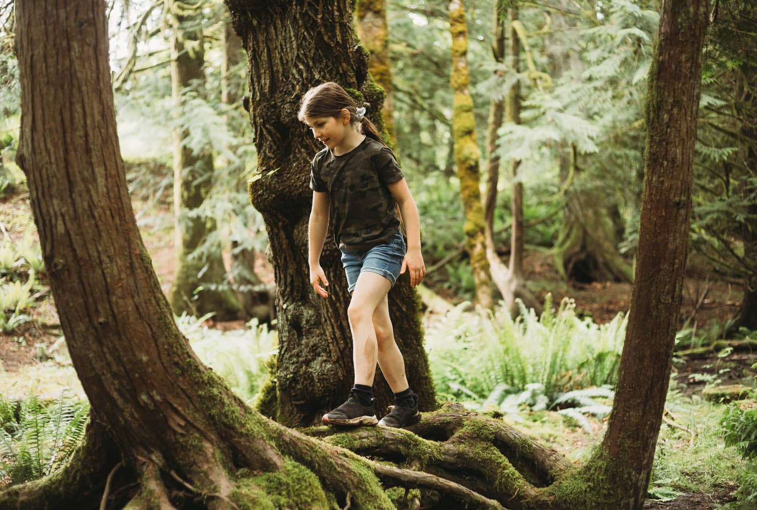 Child climbing moss-covered trees in the forest