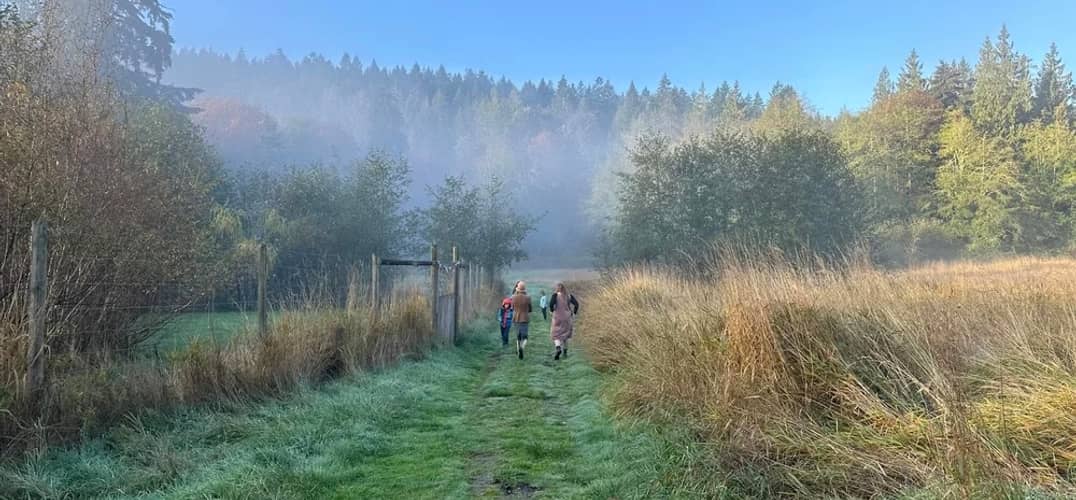 Children walking through the misty meadow